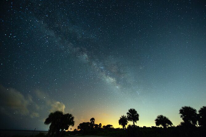 Clear Kayak Bioluminescence Tour - Cocoa Beach - The Sum Up