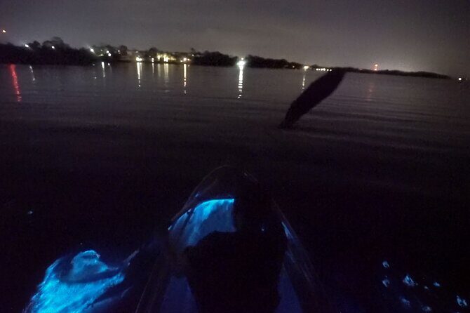 Clear Kayak Bioluminescence Tour - The Sum Up