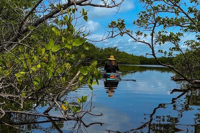 Clear Kayak Ecotour at Robinson Preserve in Bradenton, Florida - Who Will Love This Tour?