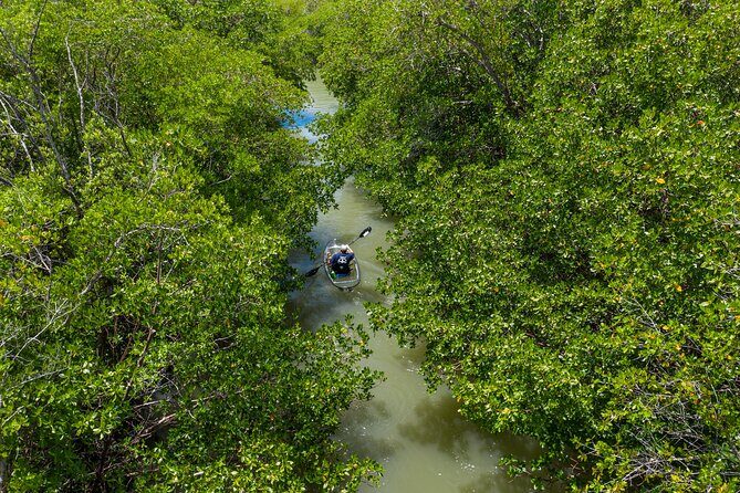 Clear Kayak Guided Eco Tour in North Naples - Itinerary Breakdown