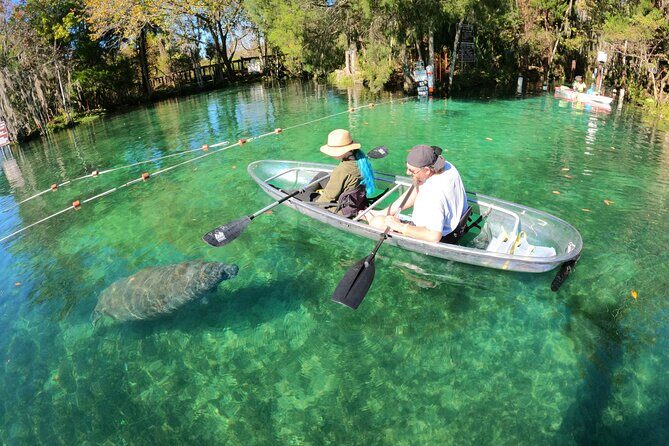 Clear Kayak Manatee Ecotour of Crystal River - The Value of the Trip