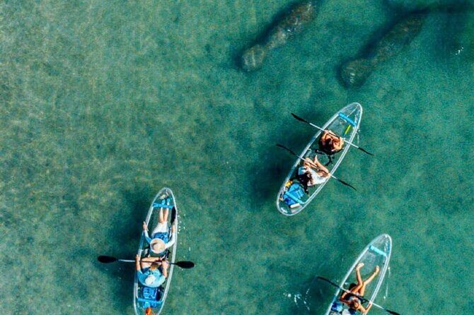 Clear Kayak Peanut Island Guided Tour Palm Beach Singer Island - What to Expect from the Itinerary