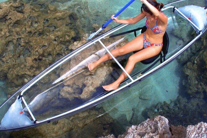Clear Kayak Private Guided Day and Night Tours in Florida - The Experience: A Detailed Look at the Tour