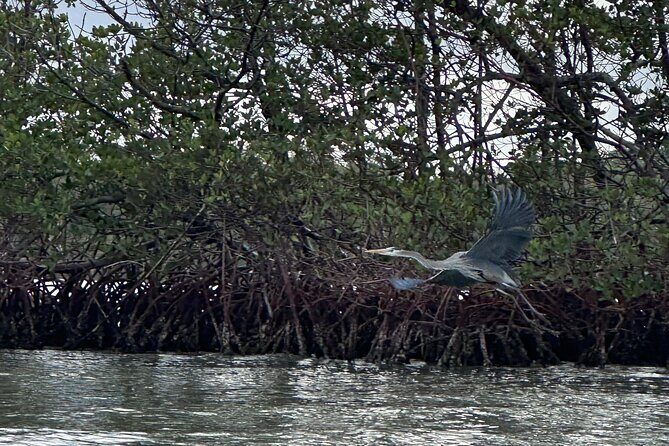 Clear Kayak RentalPeanut Island/West Palm Beach - Exploring the Itinerary and Experience