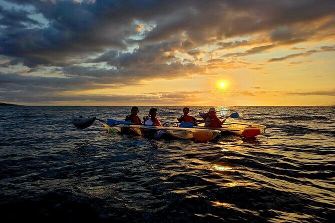 Clear Kayak Sunset and Glow Tour in Maui - Who Will Love This Tour?