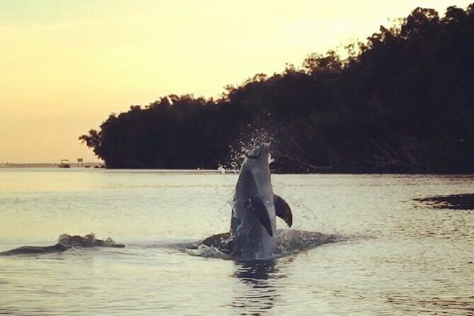 Clear Kayak Sunset Tour - Cocoa Beach - A Detailed Look at the Experience