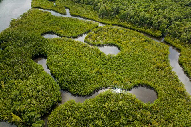 Clear Kayak Tour in North Miami Beach - Mangrove Tunnels - What’s Included and What’s Not
