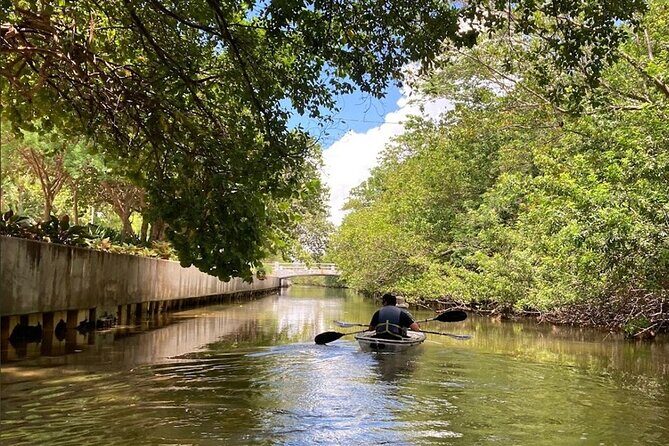 Clear Kayak Tour in South Miami Beach and Biscayne Bay - The Itinerary: What to Expect