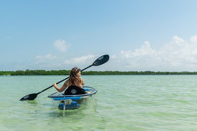 Clear Kayak Tour of Shell Key Preserve and Tampa Bay Area - Wildlife and Nature Highlights
