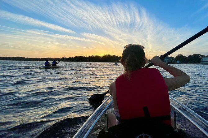 Clear Kayak Tour of Tarpon Springs | Manatee Season - What to Expect During the Tour