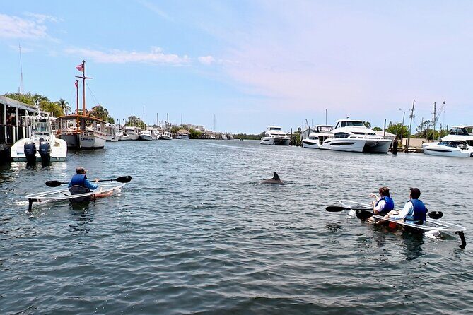 Clear Kayak Tour of Tarpon Springs Sponge Docks & Mangroves - Why This Tour Works for Travelers