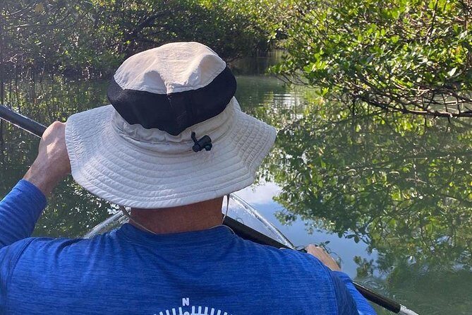 Clear Kayak Tours in Fort Pierce - Final Thoughts: Who Should Consider This Tour?