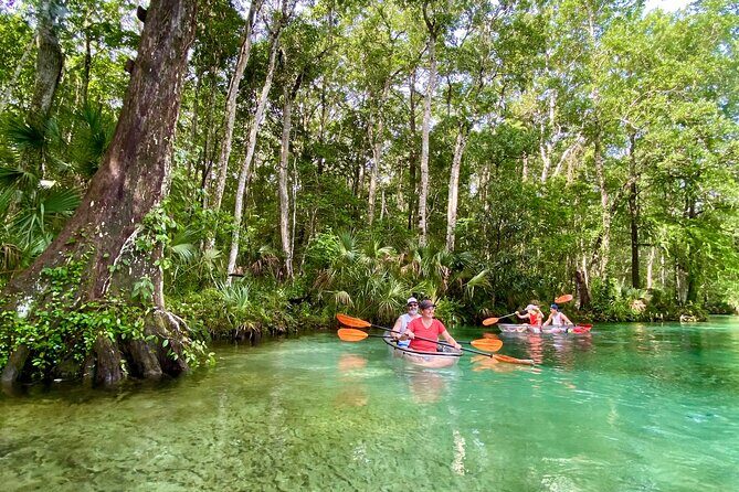 Clear Kayak Tours in Weeki Wachee - What to Expect from the Itinerary