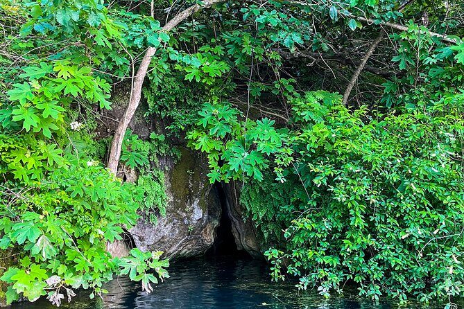 Clear Kayaking Eco Adventure Tour in Marianna - The Bottom Line