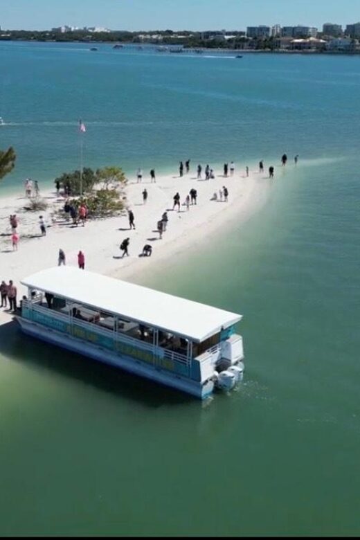 Clearwater Beach: Dolphin & Island Sandbar Cruise - The Guides and the Experience