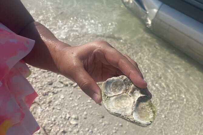 Clearwater Beach Pontoon Tours - Final Thoughts: Is This Tour Worth Your Time?