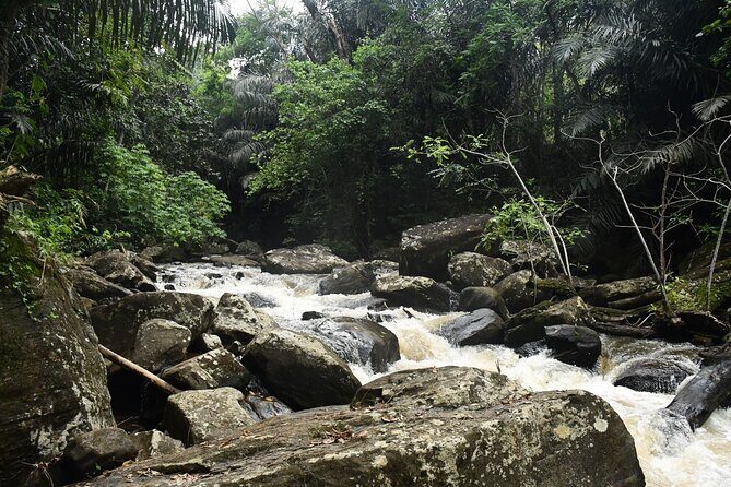 Climb Kilimanjaro - Lemosho Route 7 Day Climb - Pricing and Value: Is It Worth It?