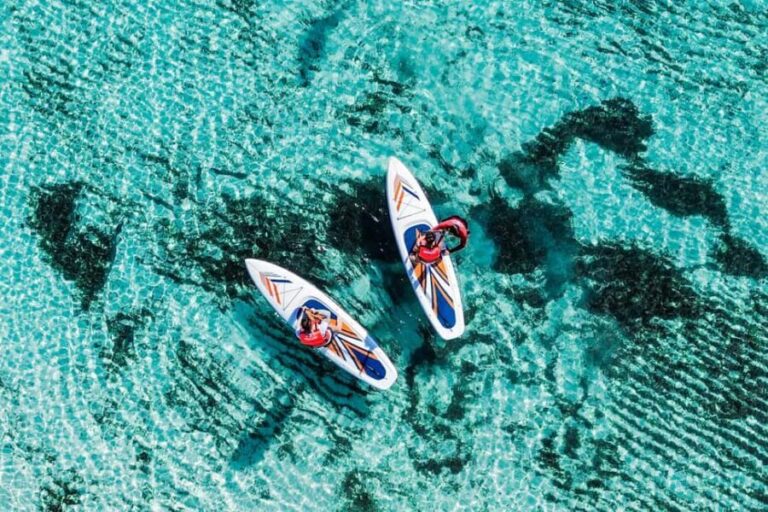 Coastal Thrill Day: Kayak, Paddle & Snorkel at Cozumel - What the Tour Means for You