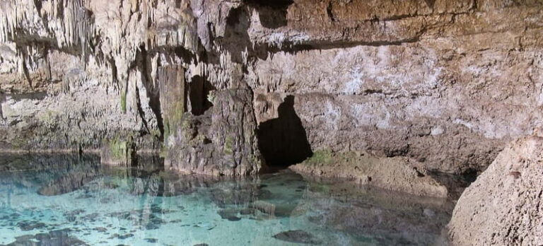 Coba Ruins & Cenote Private Tour - Analyzing the Value