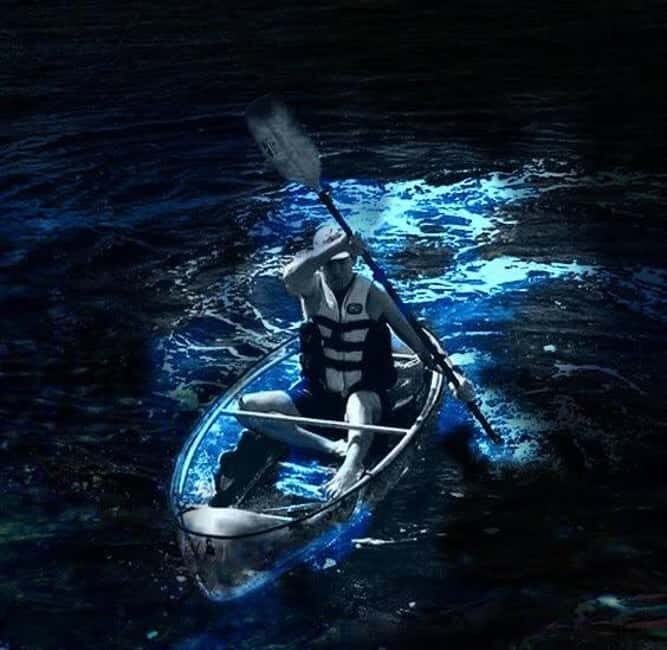 Cocoa Beach: Clear Kayak Bioluminescence Tour - Final Thoughts
