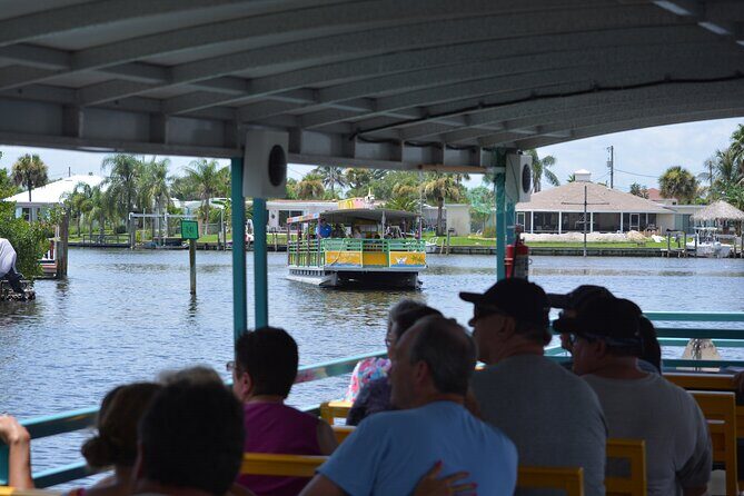 Cocoa Beach Dolphin Tours on the Banana River - Analyzing the Value for Money