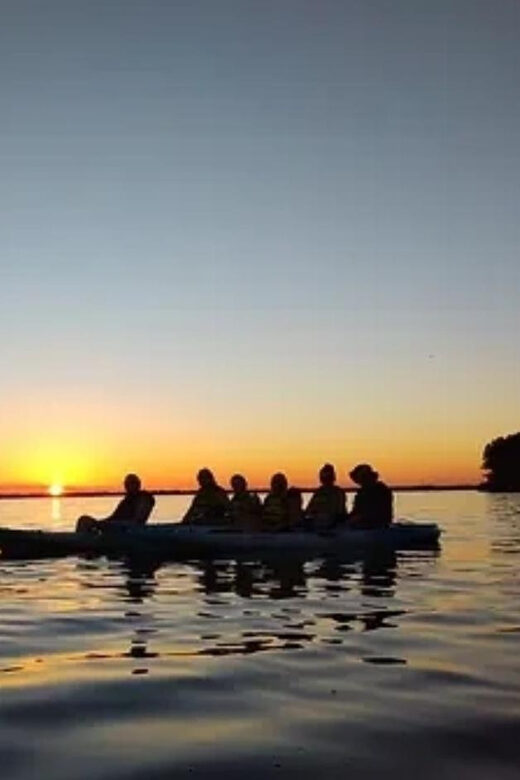 Cocoa Beach/Merritt Island: Guided Dolphin and Manatee Tour - Authentic Encounters and Real Wildlife Sightings