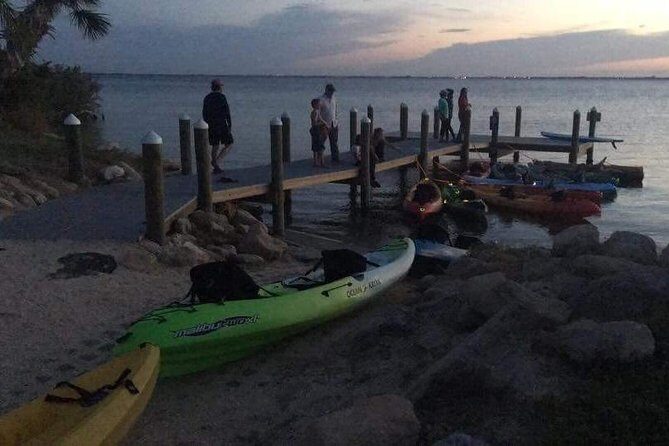 Cocoa Beach Night Time Bioluminescence Kayak Tour - The Cost and Its Value