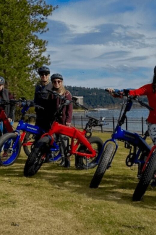 Coeur dAlene: E-Bike Rental - Who Will Love This Experience?