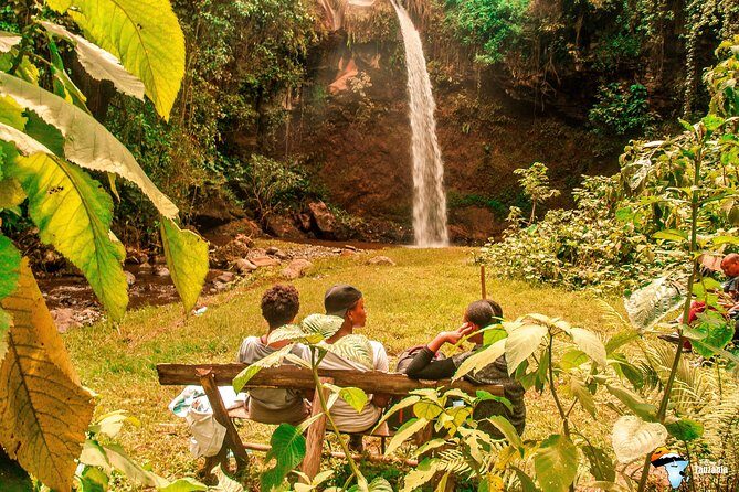 Coffee Tour Experience from Arusha - Why This Tour Is Worth Considering