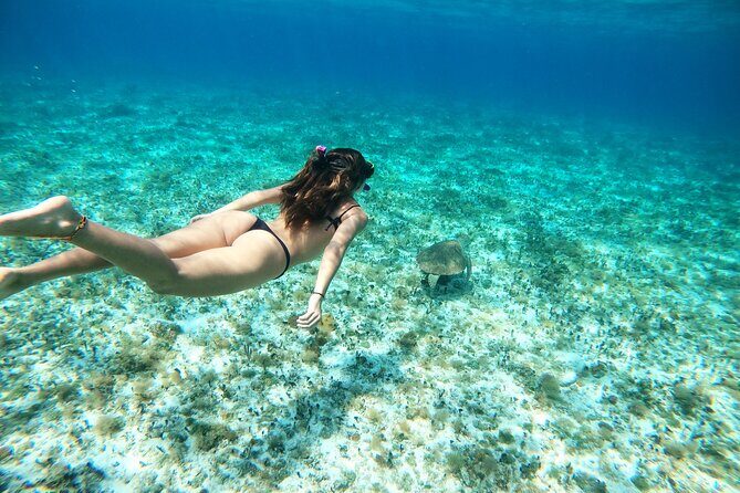 Colombia, Palancar & Cielo Cozumel Snorkel Tour - What Travelers Are Saying