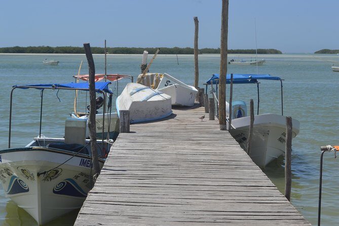 Coloradas Bioexperiences - Real Experiences from Travelers