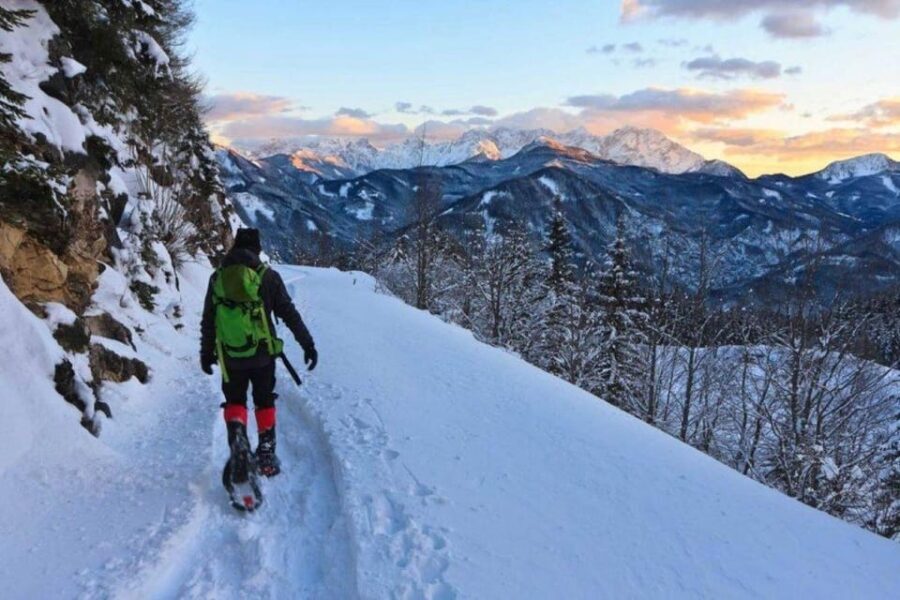 Colorado Backcountry: Guided Snowshoe Tour - Practical Details – Timing, Duration, and Booking
