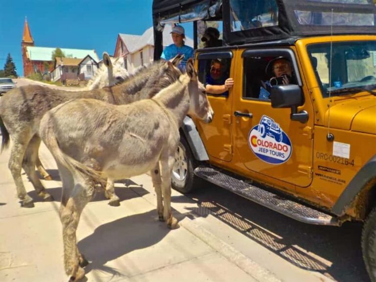 Colorado Jeep Tours - Gold Belt Tour - Practical Details and What to Expect