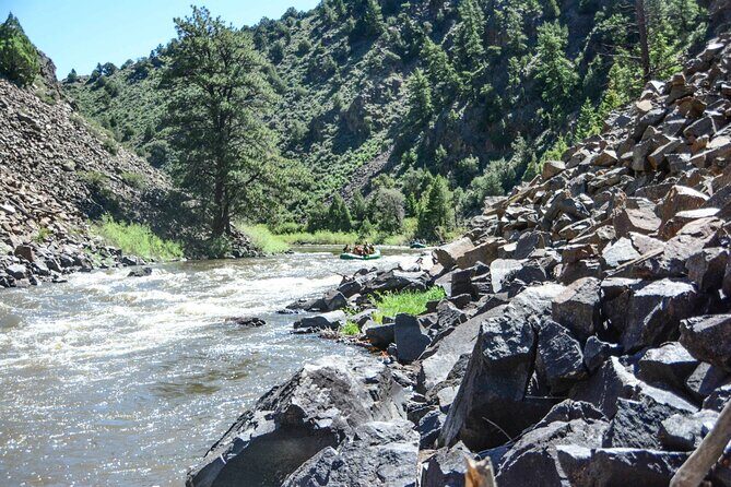 Colorado River Whitewater Rafting: Half Day Trip - What to Expect on the River