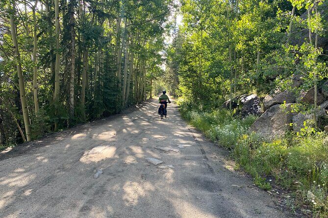 Colorado Rockies 1 Day E-Bike Tour - What to Expect from the Experience