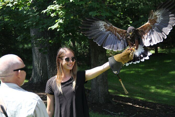 Colorado Springs Hands-On Falconry Class and Demonstration - The Guides and Their Expertise