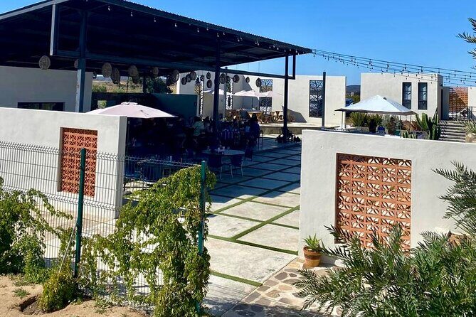 Colors of Ensenada Painting and Wine - The Itinerary: What to Expect