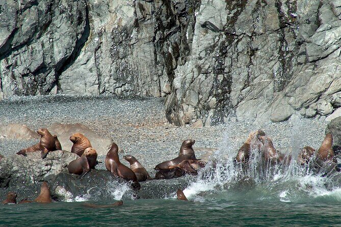 Columbia Glacier Cruise from Valdez - Frequently Asked Questions