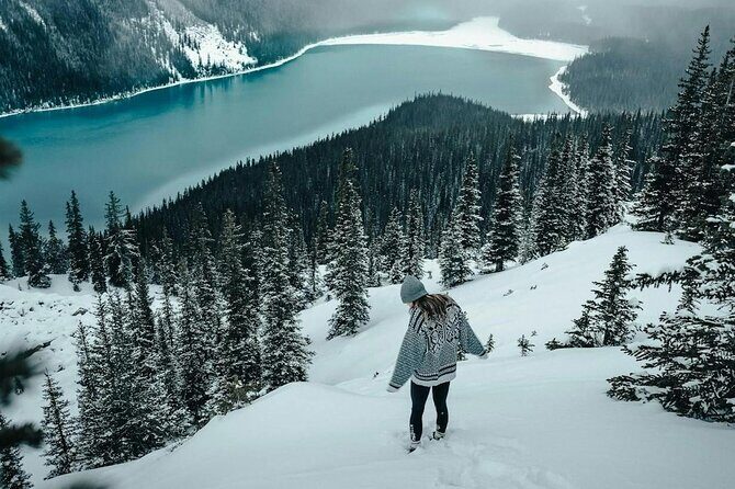 Columbia Icefield Parkway Peyto lake Bow lake Day Trip - Final Thoughts