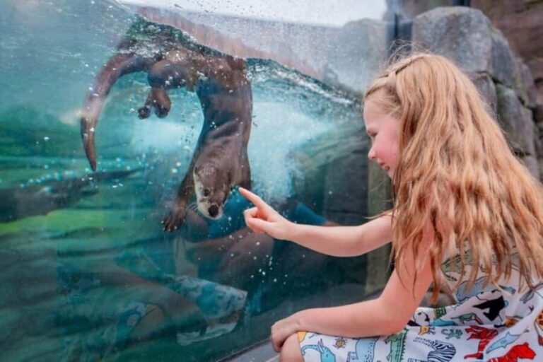 Columbus, OH: Columbus Zoo and Aquarium Entry Ticket - How Does It Compare in Value?