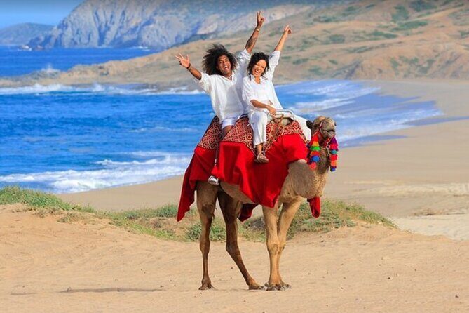 Combination Tour in Cabo San Lucas Mexico - What Activities Can You Choose?