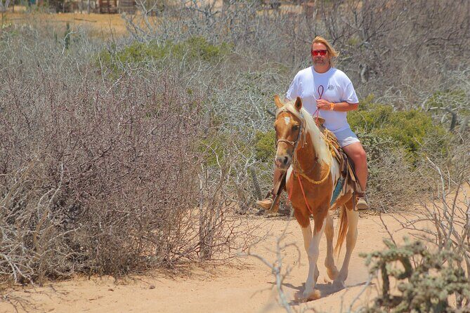 Combined ATV and Horseback Ride/Tequila Tasting - Who Will Love This Tour?