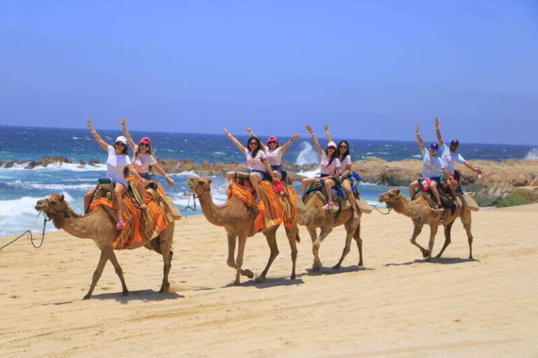 Combo 4X4 Automatic ATV & Camel Ride in Cabo by Cactus Tours - The Itinerary in Detail