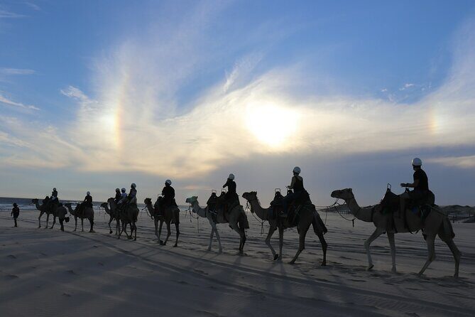 Combo E-Bike Adventure with Camels and Lunch in Cabo - The Value of This Tour