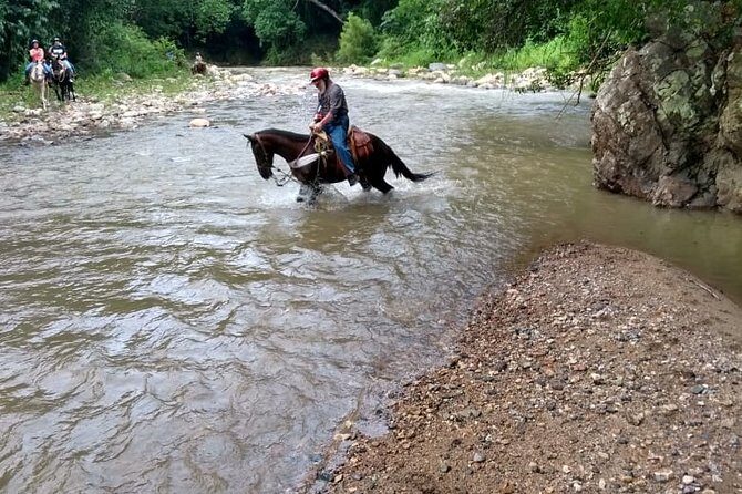Combo Horse Back Riding and Zip Line in Vallarta - Who Will Love This Tour?