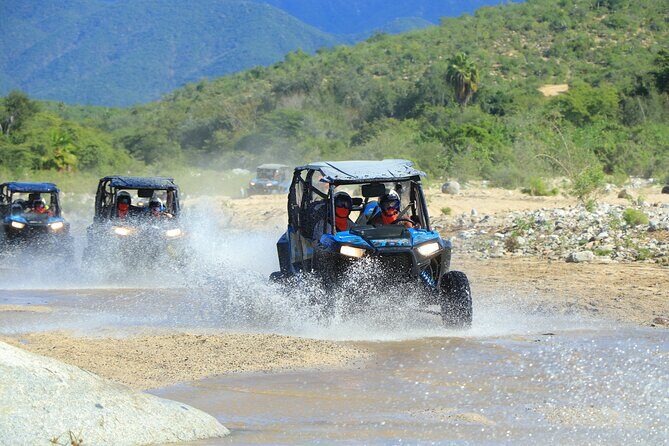 Combo Single Offroad 4x4 UTV, Camel Ride, Lunch & Tequila Tasting - Who Will Love This Tour?