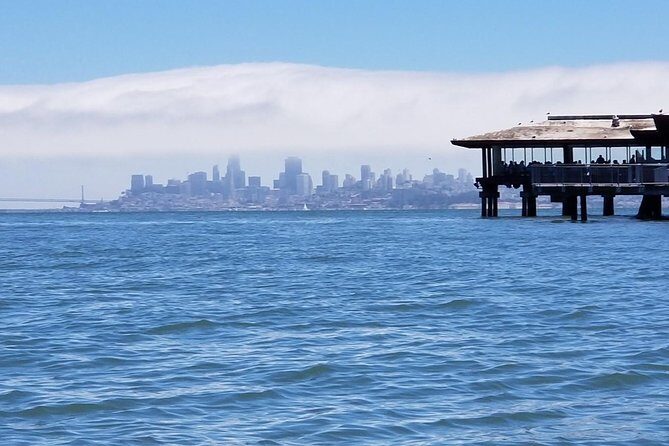 Combo Small-Group Tour: SF City plus Muir Woods & Sausalito - The Practical Side: Transportation, Guides, and Value