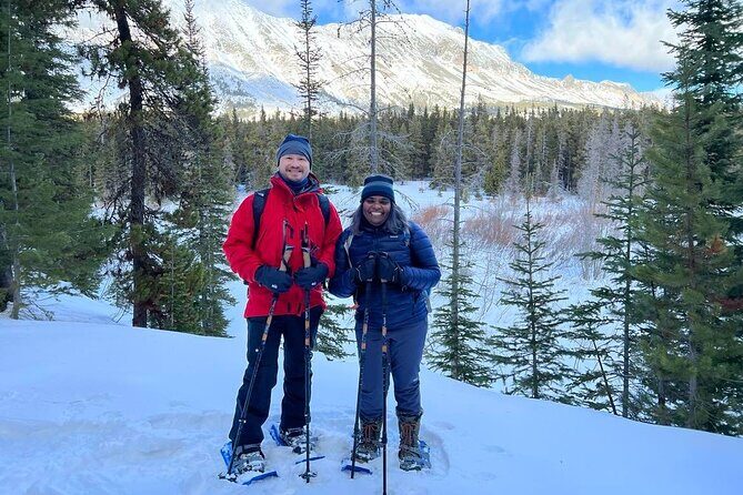 Combo Tour: Driving and Snowshoe Trek of Glacier National Park - What to Expect from Each Stop