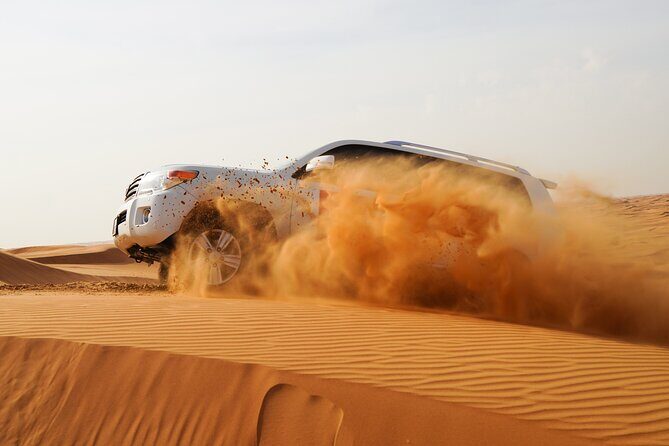 Combo tour- Dubai city tour & Evening Desert safari - Who Will Love This Tour?