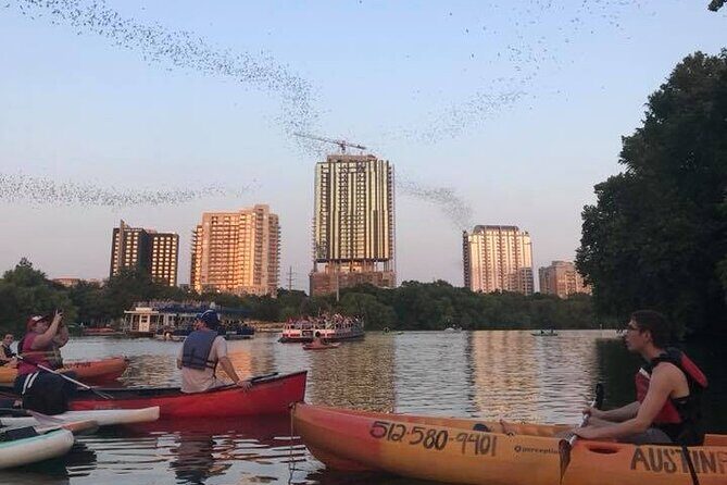 Congress Avenue Bat Bridge Kayak Tour in Austin - Who Will Love This Tour?